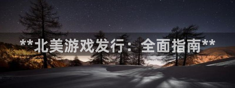 新宝gg平台—创造奇迹登录：**北美游戏发行：全面指南**