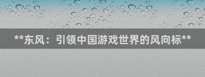 新宝gg平台注册?：**东风：引领中国游戏世界的风向标**