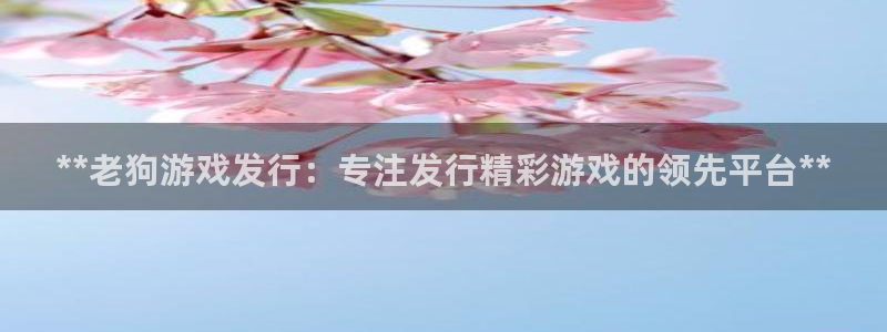 新宝gg1956注册地址：**老狗游戏发行：专注发行精彩游戏的领先平台**