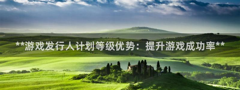 新宝gg创造奇迹怎么登录不上去：**游戏发行人计划等级优势：提升游戏成功率**