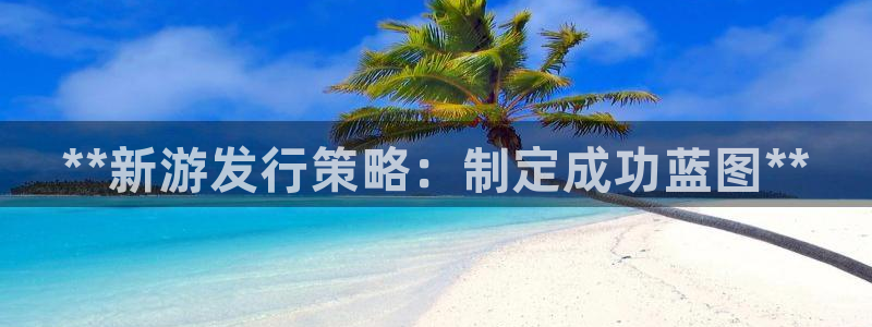 新宝gg一创造奇迹注册：**新游发行策略：制定成功蓝图**