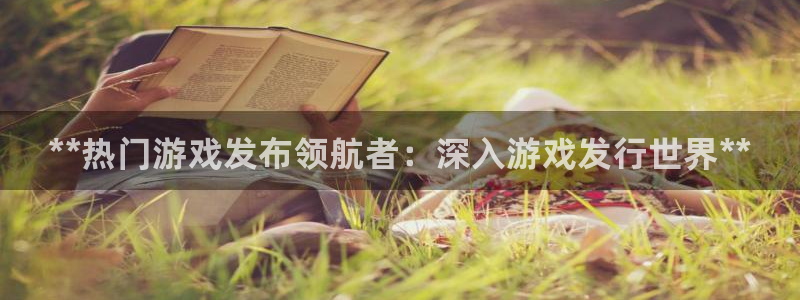 新宝gg是合法的吗：**热门游戏发布领航者：深入游戏发行世界**