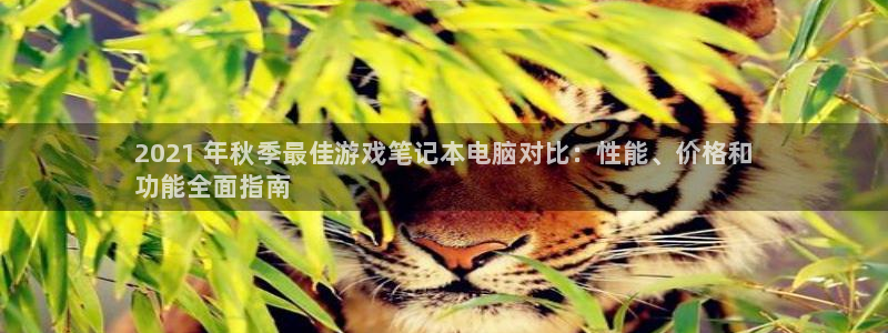 新宝gg怎么退钱