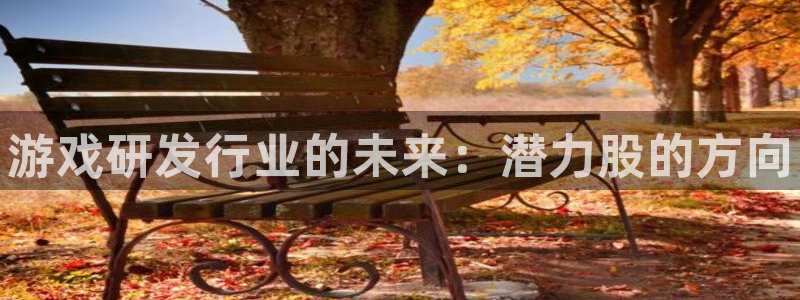新宝gg游戏平台客服：游戏研发行业的未来：潜力股的方向