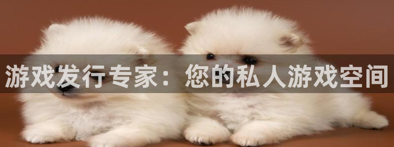 新宝gg—创造奇迹官网登录：游戏发行专家：您的私人游戏空间