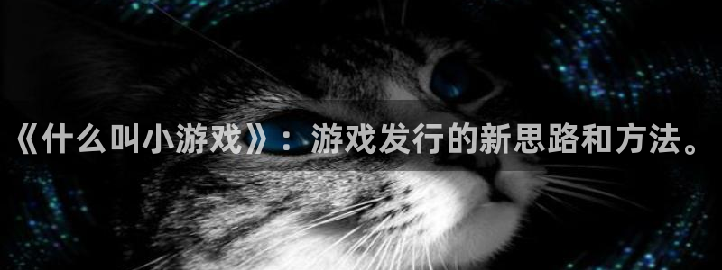 新宝gg怎么登录不了：《什么叫小游戏》：游戏发行的新思路和方法。
