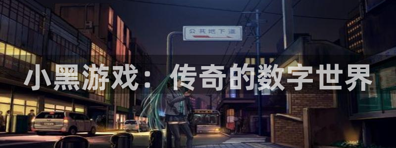 新宝gg创造奇迹官方登录入口：小黑游戏：传奇的数字世界