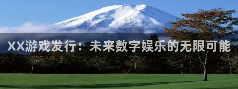 新宝gg创造奇迹在线登录：XX游戏发行：未来数字娱乐的无限可能