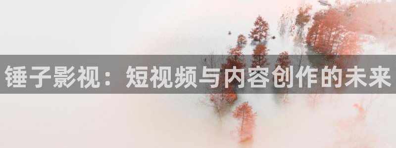 深夜影院深aa：锤子影视：短视频与内容创作的未来