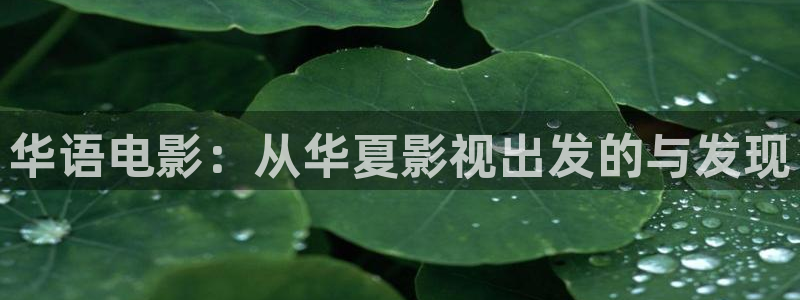 欧美aaaa大片